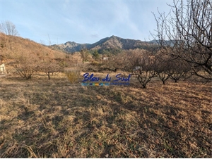 terrain à la vente -   66820  FILLOLS, surface 1500 m2 vente terrain - UBI417974832